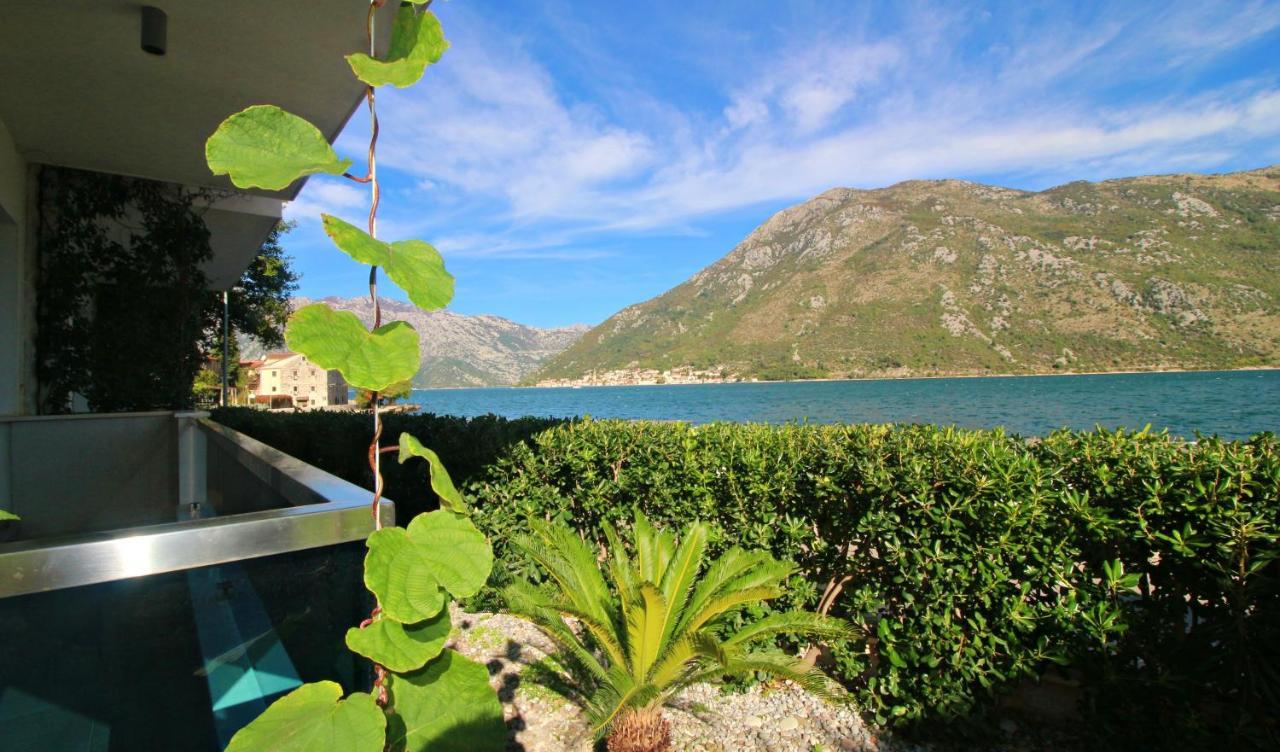 Apartment Miramare Kotor Exterior foto